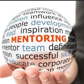 mentor coupon